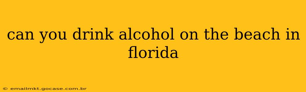 can you drink alcohol on the beach in florida