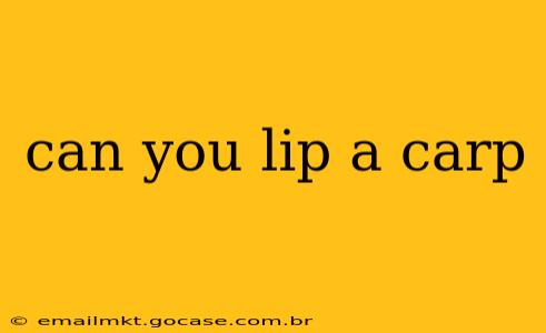 can you lip a carp