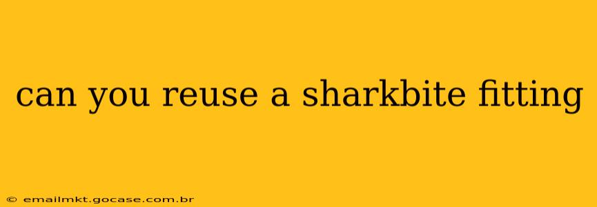 can you reuse a sharkbite fitting
