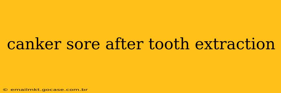 canker sore after tooth extraction