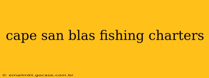 cape san blas fishing charters