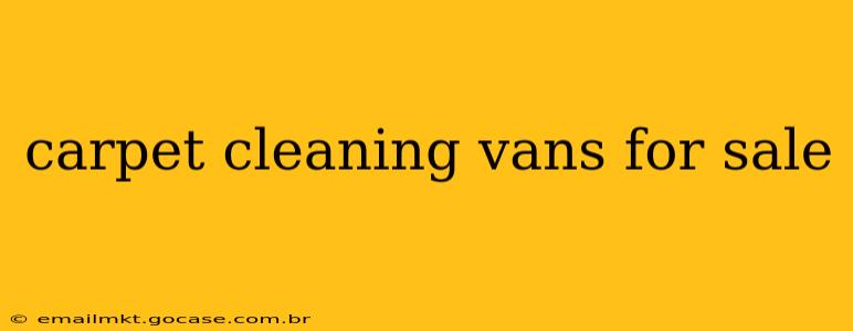 carpet cleaning vans for sale