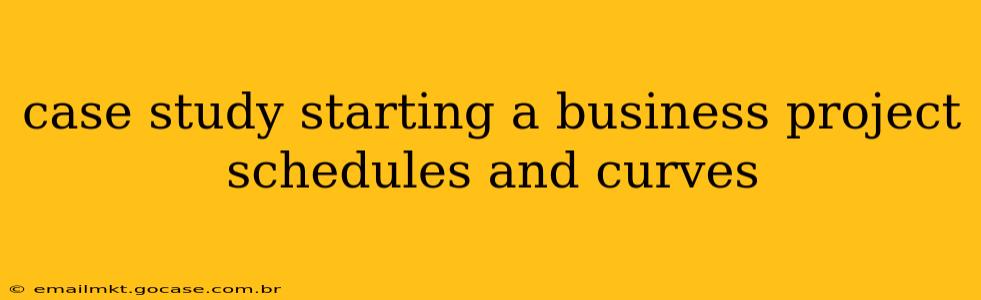 case study starting a business project schedules and curves