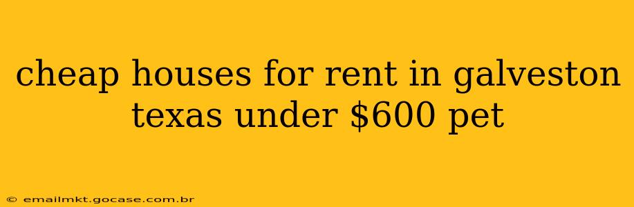 cheap houses for rent in galveston texas under $600 pet