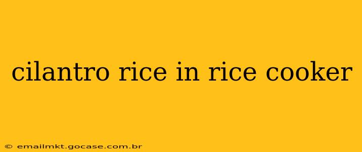 cilantro rice in rice cooker