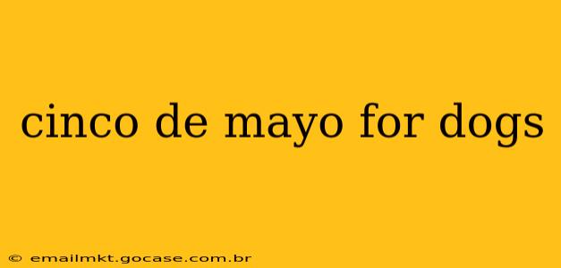 cinco de mayo for dogs
