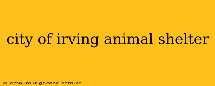 city of irving animal shelter