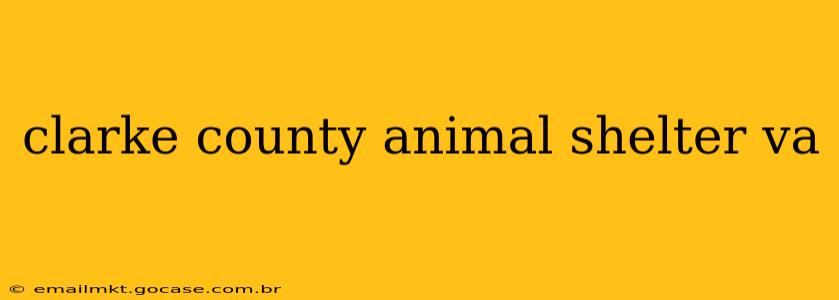 clarke county animal shelter va