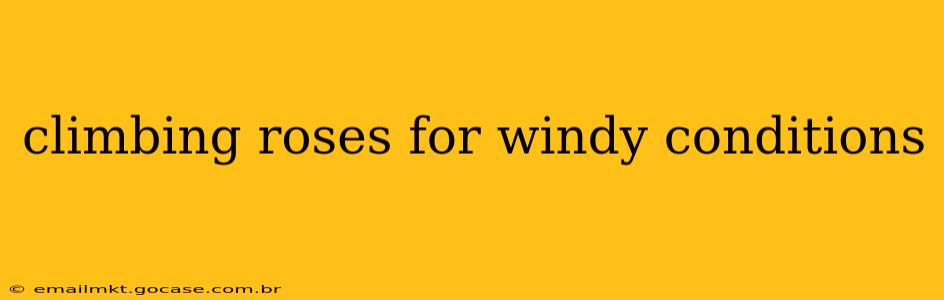 climbing roses for windy conditions