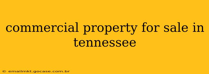commercial property for sale in tennessee