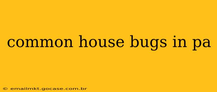 common house bugs in pa