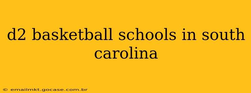 d2 basketball schools in south carolina