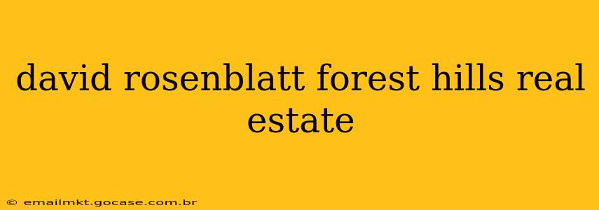 david rosenblatt forest hills real estate