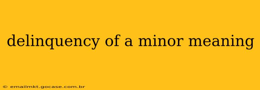 delinquency of a minor meaning