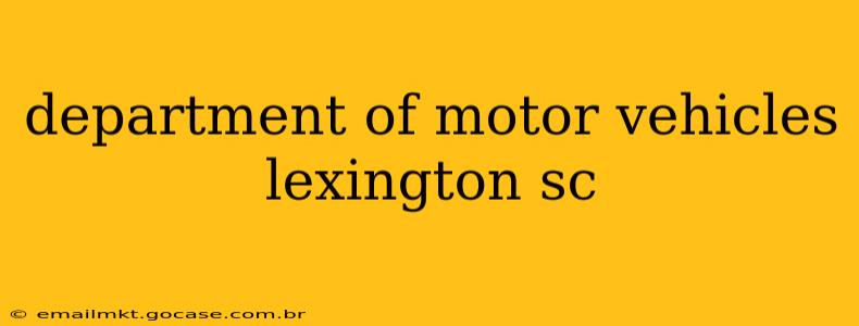 department of motor vehicles lexington sc
