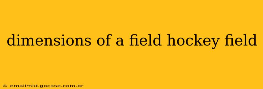 dimensions of a field hockey field