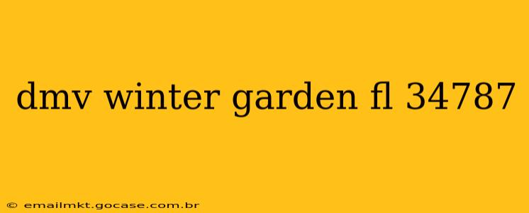 dmv winter garden fl 34787