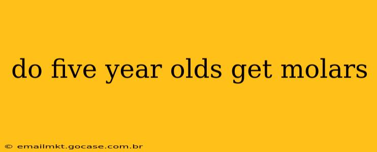 do five year olds get molars