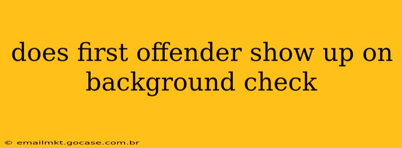 does first offender show up on background check