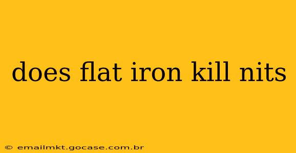 does flat iron kill nits