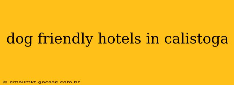 dog friendly hotels in calistoga
