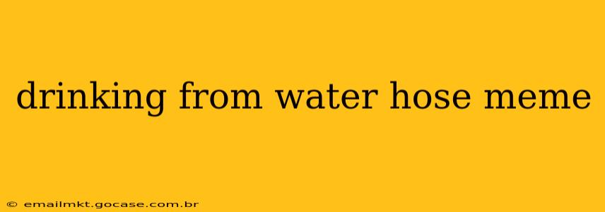 drinking from water hose meme