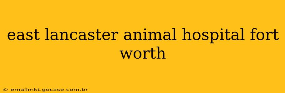 east lancaster animal hospital fort worth