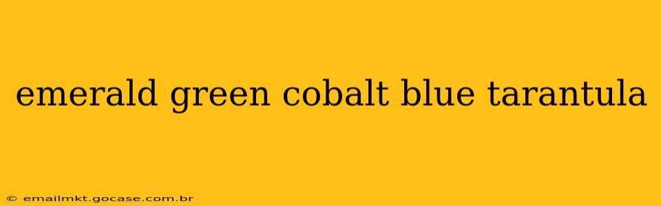 emerald green cobalt blue tarantula