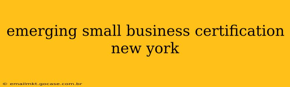 emerging small business certification new york