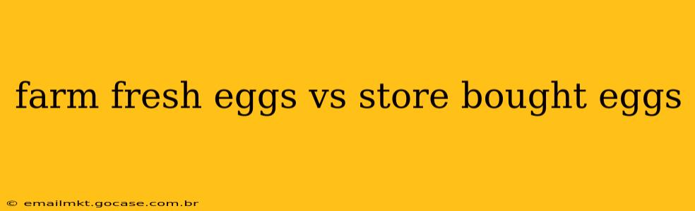 farm fresh eggs vs store bought eggs