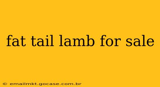 fat tail lamb for sale