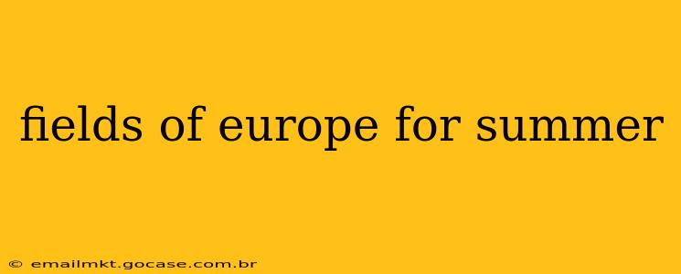 fields of europe for summer