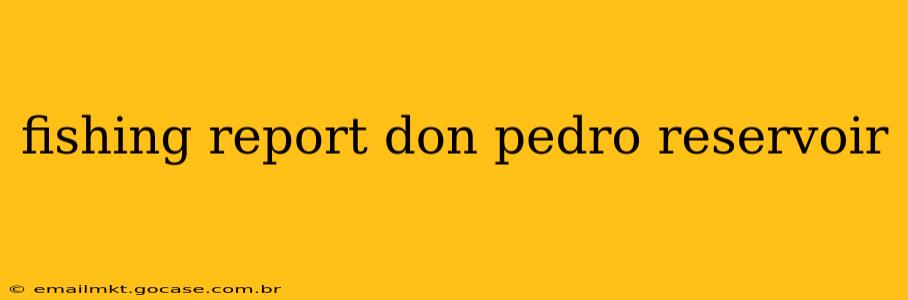 fishing report don pedro reservoir