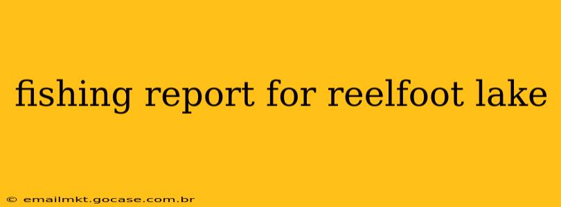 fishing report for reelfoot lake