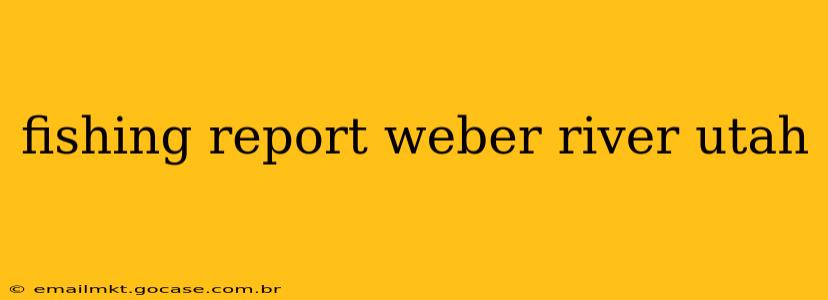 fishing report weber river utah