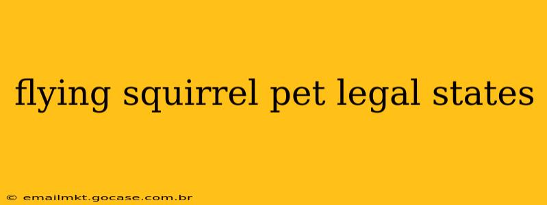 flying squirrel pet legal states