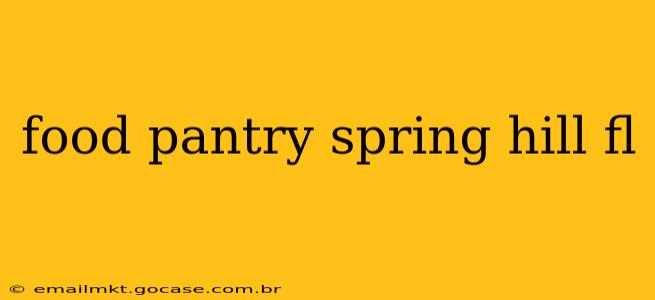 food pantry spring hill fl
