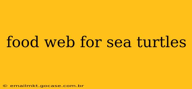 food web for sea turtles