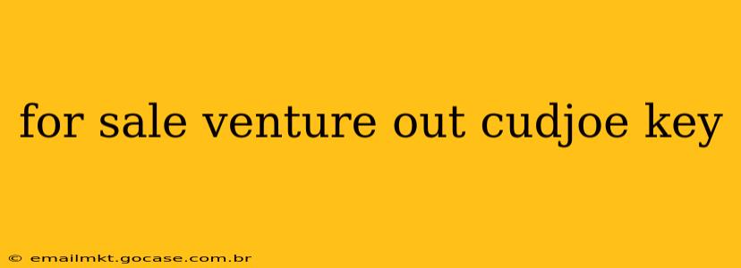 for sale venture out cudjoe key