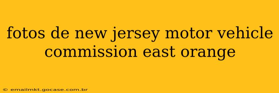 fotos de new jersey motor vehicle commission east orange