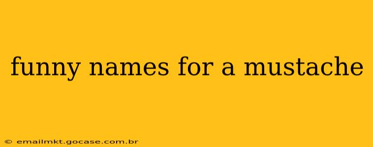 funny names for a mustache
