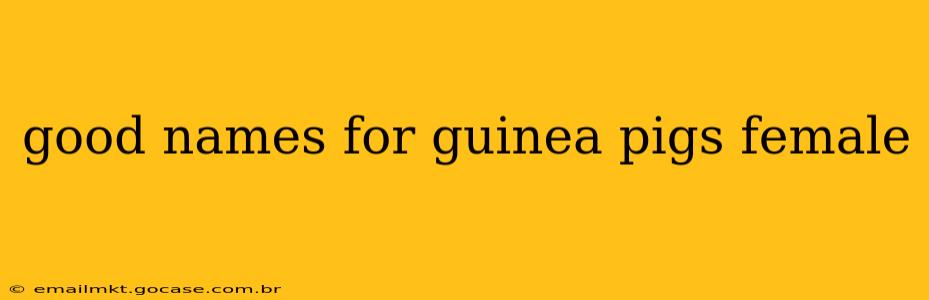 good names for guinea pigs female