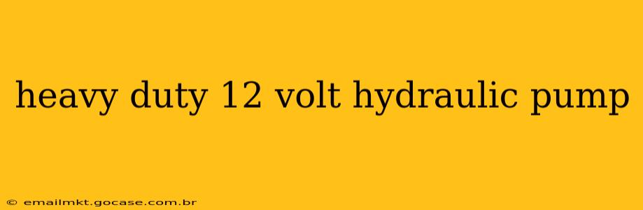 heavy duty 12 volt hydraulic pump