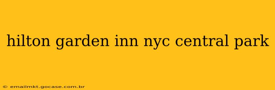hilton garden inn nyc central park