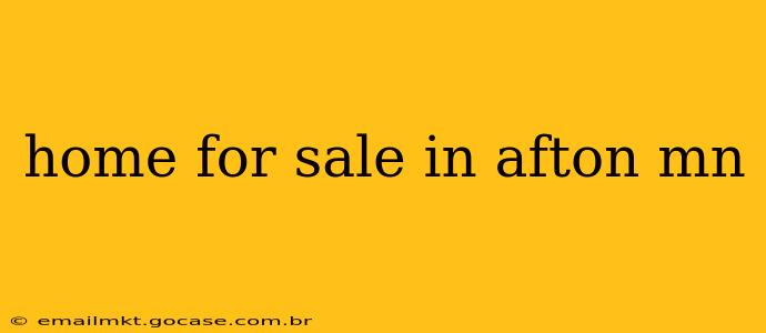 home for sale in afton mn