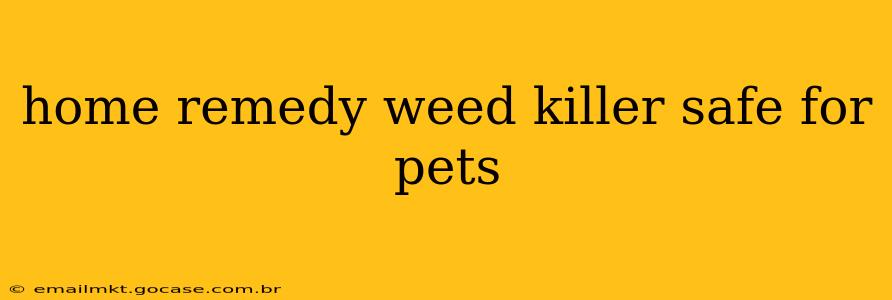 home remedy weed killer safe for pets