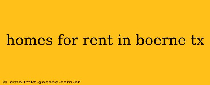 homes for rent in boerne tx