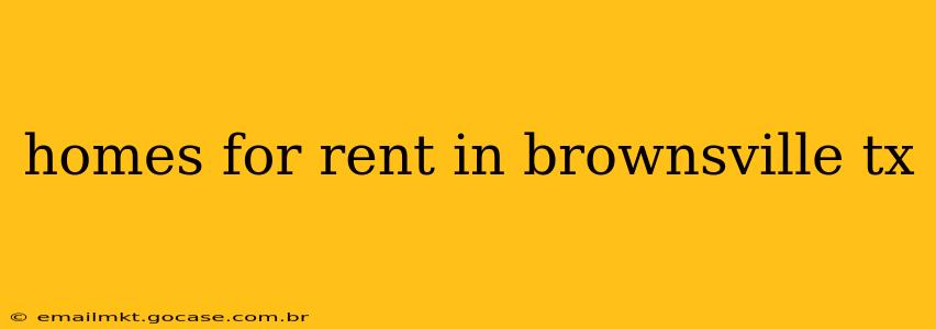homes for rent in brownsville tx