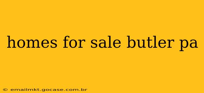 homes for sale butler pa