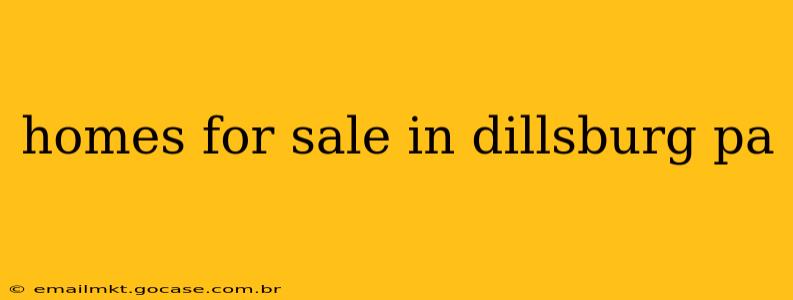 homes for sale in dillsburg pa